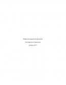 Modelo Investigación de Operaciones