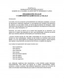 Mapa de conceptos Allison Hernández