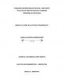 Psicologia Politica en Colombia