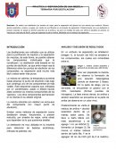 SEPARACION DE UNA MEZLA TERNARIA POR SEPARACIÓN