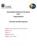 Actividad de metacognicion fisica