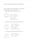 CÁLCULO DE LOS ÁNGULOS DEL POLÍGONO MEDIANTE FÓRMLAS TRIGONOMÉTRICAS