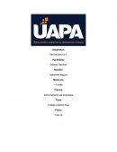 Final mercadeo Trabajo practico final