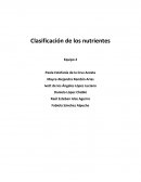 Macronutrientes y Micronutrientes