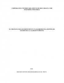 Triangulo de servicios. Página 1