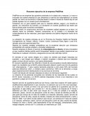 Resumen Ejecutivo de Empresa