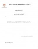 ENSAYO DE LA ESTADISTICA EDUCATIVA