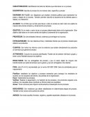 Conceptos para el levantamiento de procesos