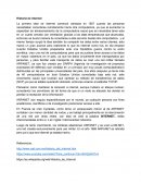 Historia de internet - ensayo