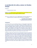 Producción de caña en Sinaloa