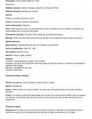 Relación espacial: praderas, bosques, sembrados, carruaje de Pólito.