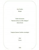 El kéfir o búlgaros