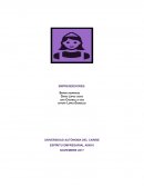 ESPÍRITU EMPRESARIAL AI0016