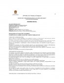 Informes iniciales cam