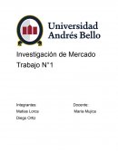 Investigacion de mercado - Trabajo