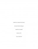 Control 4, Gestión de Calidad