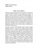 The thermal performances of historic masonry