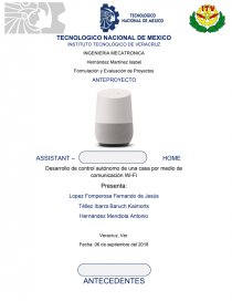 Formulación y Evaluación de Proyectos ASSISTANT – HOME. Página 1