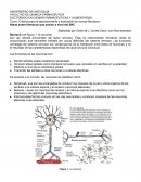 Criterios para el descubrimiento y evaluación de nuevos fármacos