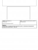 Practica Diseño Organizacion