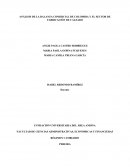 ANÁLISIS DE LA BALANZA COMERCIAL DE COLOMBIA Y EL SECTOR DE FABRICACIÓN DE CALZADO