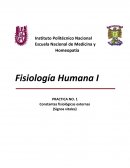 Fisiología Humana I Constantes fisiológicas externas