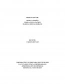 LA EXPLOTACIÓN DE LOS RECURSOS NATURALES EN EL DEPARTAMENTO DE ANTIOQUIA.