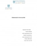 Elaboración de encurtido