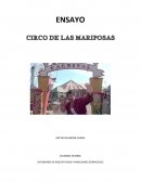 DIPLOMADO EN ASOCIATIVIDAD Y HABILIDADES GERENCIALES