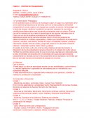 Fines 2 Proyecto pedagógico