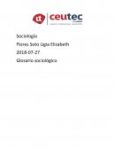 Glosario sociologico Introducción