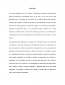 RESUMEN DE IDEAS RELEVANTES