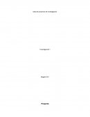 Investigacion del ruido