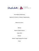 Ingeniería En Software y Sistemas Computacionales