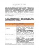 PRINCIPIOS Y TIPOS DE AUDITORÍA