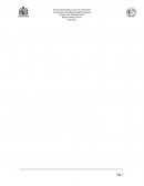 Programa de entorno economico