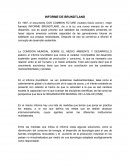 INFORME DE BRUNDTLAND ensayo