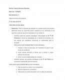 Segundo avance del proyecto