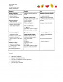 Plan de alimentacion y dieta