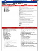 Programación Caligrafía