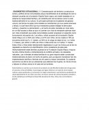 Ensayo DIAGNOSTICO SITUACIONAL SUPULA