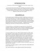Ensayo bases juridicas