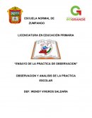 Ensayo practica de observacion