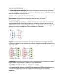 Calculo diferencial INVESTIGACION
