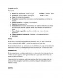 Tipos de planeaciones de preescolar