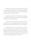 HIDROELÉCTRICO ITUANGO