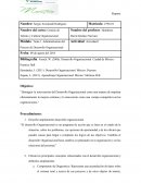 Actividad 1, Gestion de talento