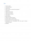 Trabajo de microfinanzas