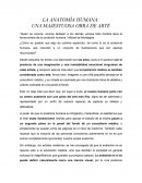 La anatomía humana, una mejestuosa obra de arte