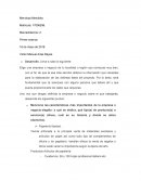 Primer avance. Mercadotecnia v1.